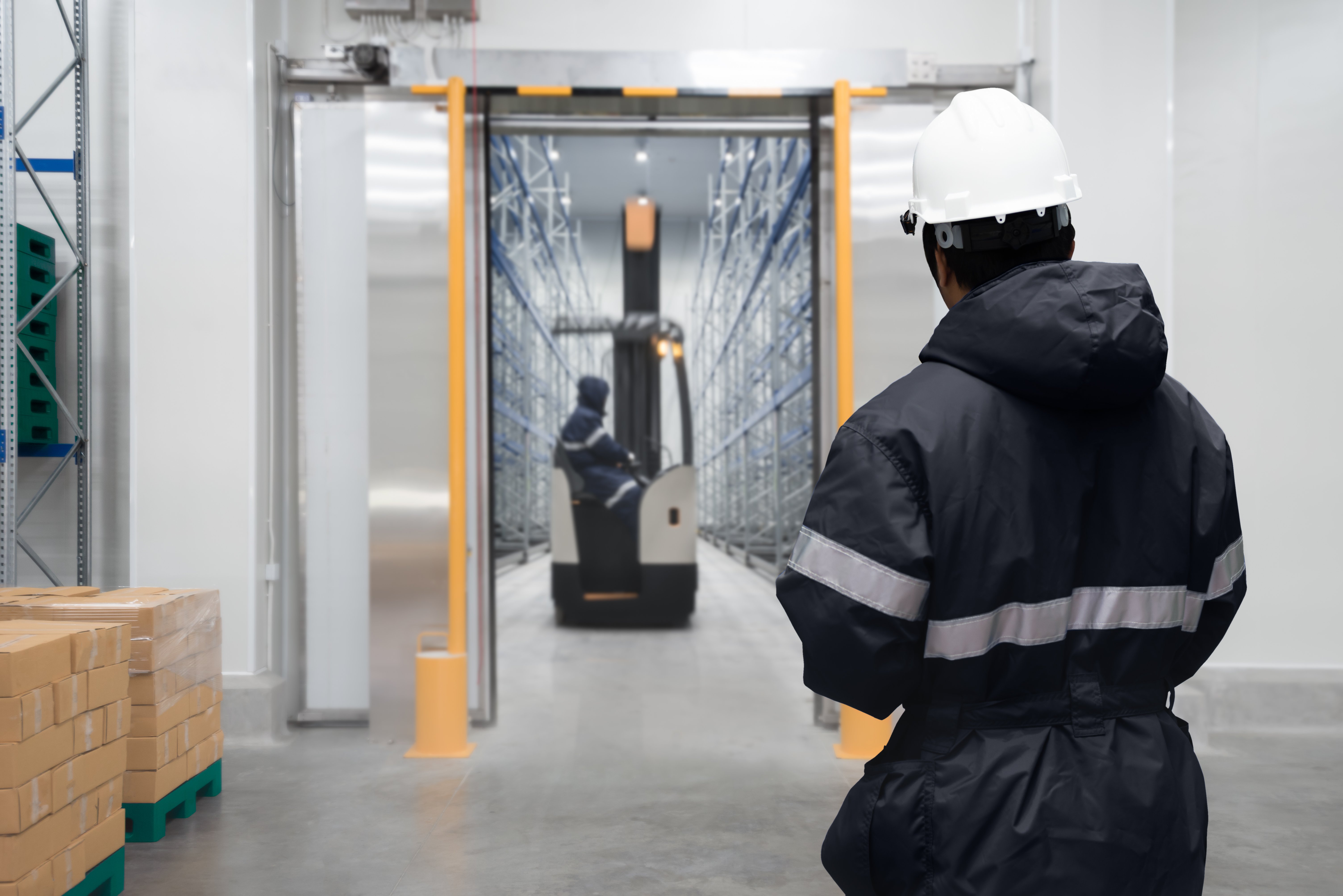 How Lithiumion Batteries are Transforming the Cold Storage Warehouse